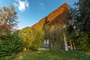 Ahol a tananyag a legszebb – Budai Arborétum, avagy séta Budapest csodás kertjeiben