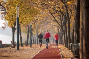 10+1 park futókörrel &#8211; itt róhatjuk köreinket az őszi tájban