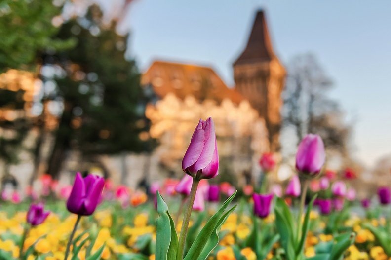Együtt a város! Április végén indul a Budapesti Tavaszi Fesztivál