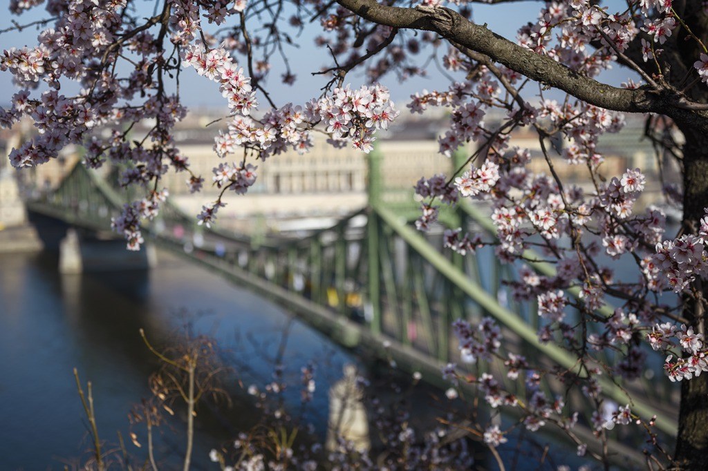 Így tavaszodik Budapesten – KÉPGALÉRIA