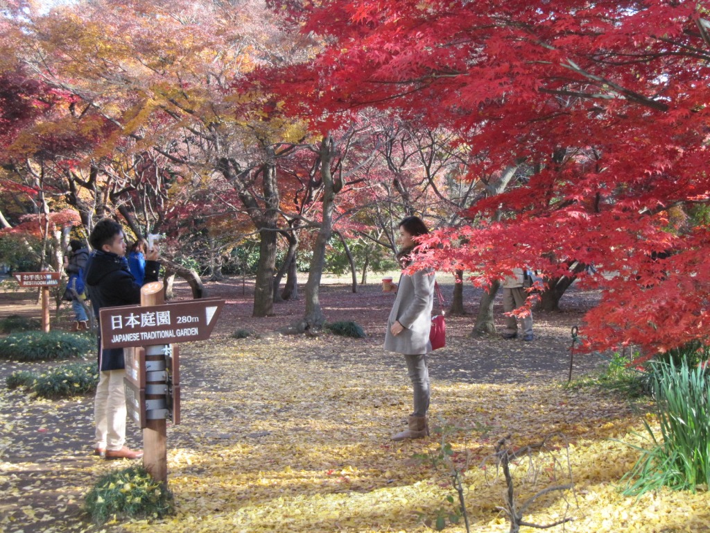 Lelkek kertje Zuglóban – avagy séta Budapest csodás japánkertjében