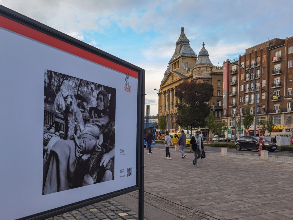 Ahogy az olvasók látják Nádas Péter világát – szabadtéri fotókiállítás nyílt a Városháza Parkban
