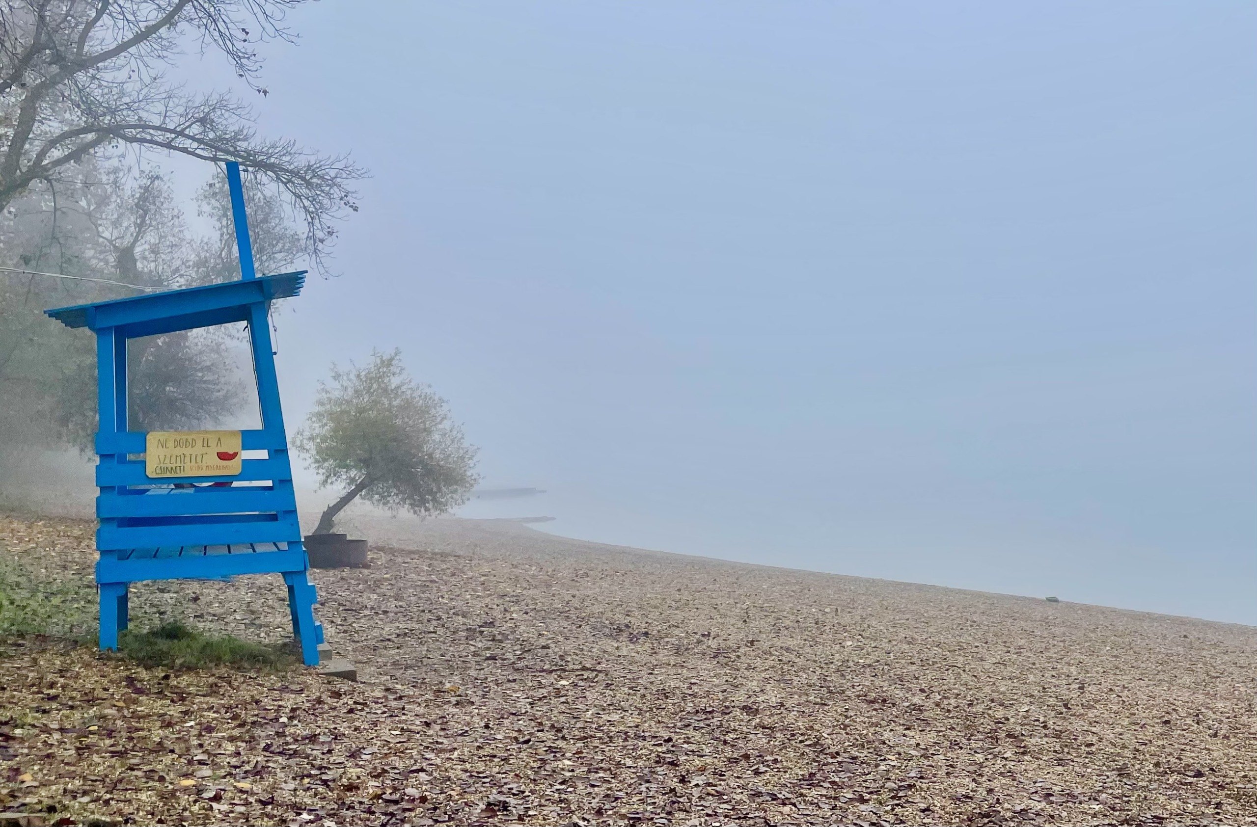 A ködös Római és Pünkösdfürdő Park melankolikus képei &#8211; emberek nélkül